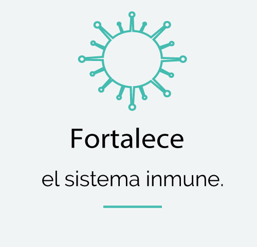 fortalece el sistema inmune