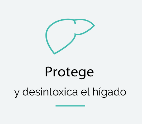 protege y desintoxica el higado